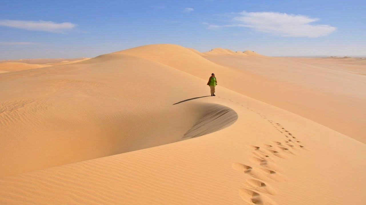 Camel, Great Sand Sea Egypt Travel booking